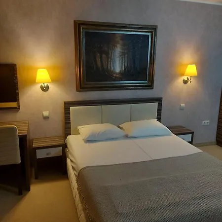 Rovno מלון 3*